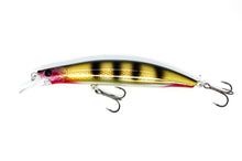 Lade das Bild in den Galerie-Viewer, NACHTRÄUBER