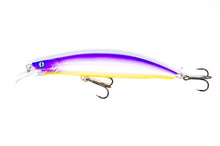 Lade das Bild in den Galerie-Viewer, NACHTRÄUBER