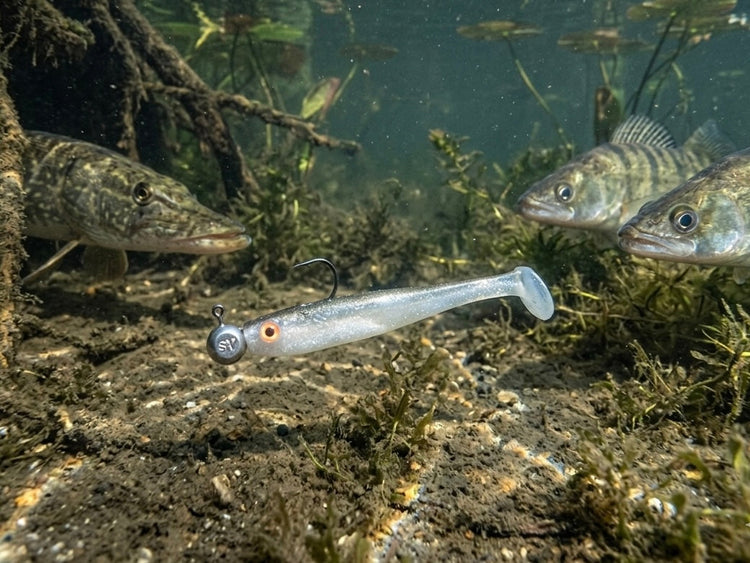 Schraubfisch-System