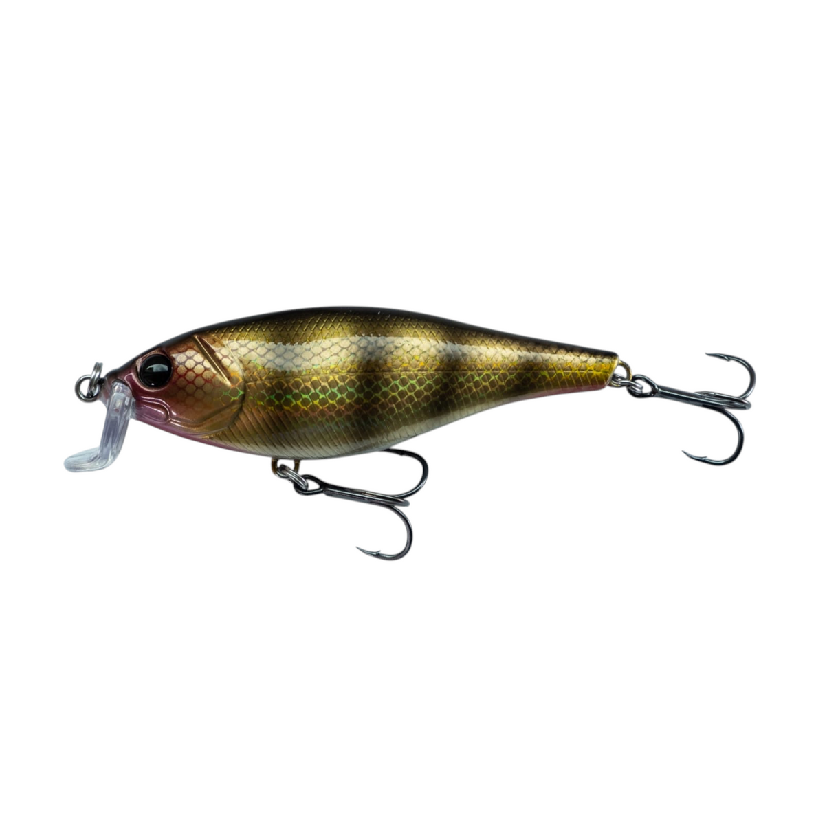 Fish-ing.net KG DONAURÄUBER Wobbler in Barsch-Optik mit 105mm Länge für flache Gewässer und starke Strömung
