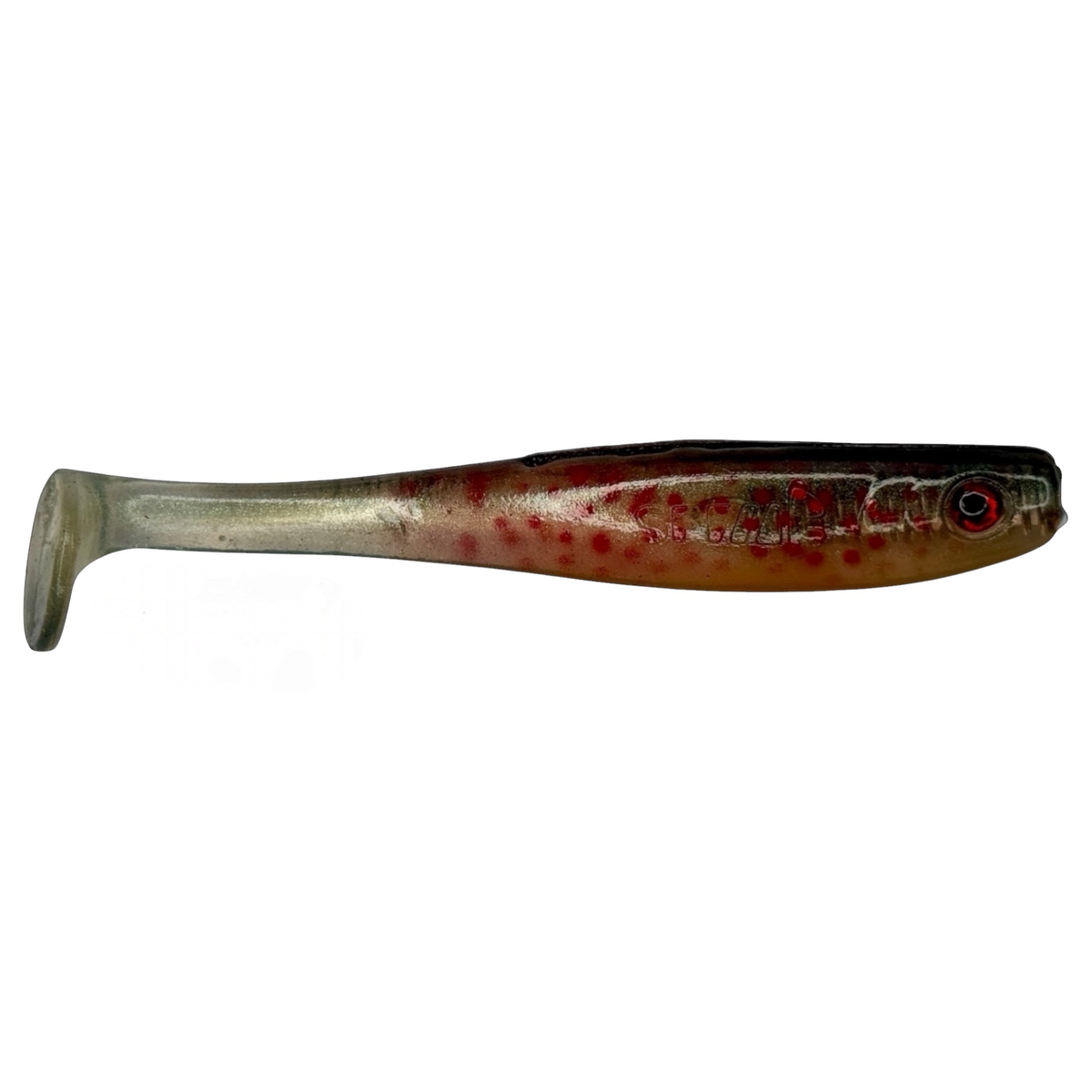 Shrady 10 cm RD Trout