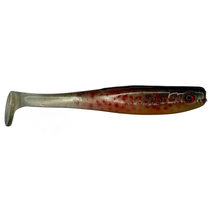 Shrady 10 cm RD Trout