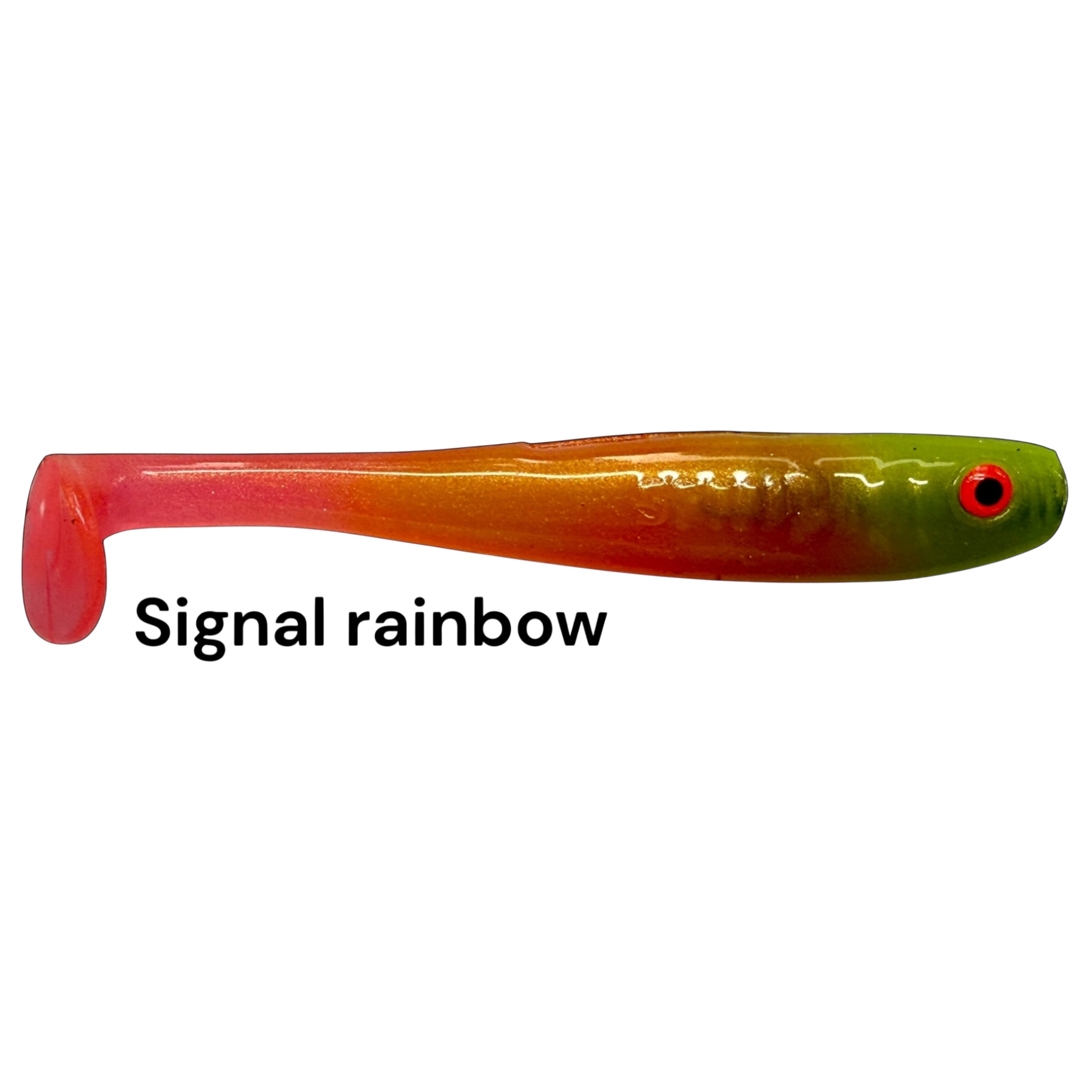 Fish-ing.net KG Shrady 10cm soft plastic lure in signal rainbow color with a paddle tail for predator fishing