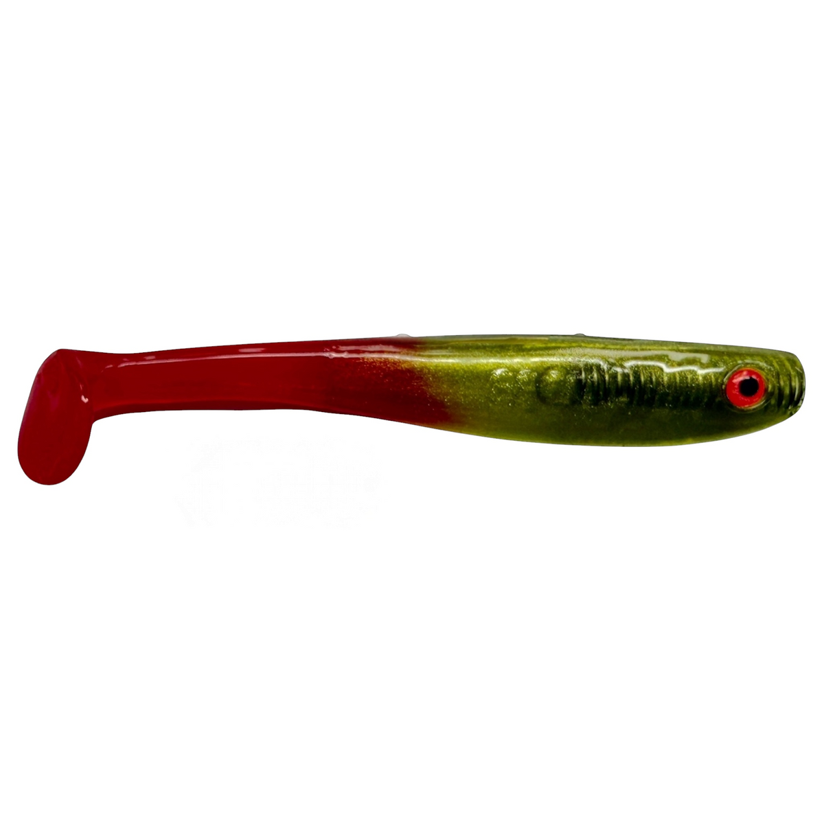 Shrady 10 cm Tomato