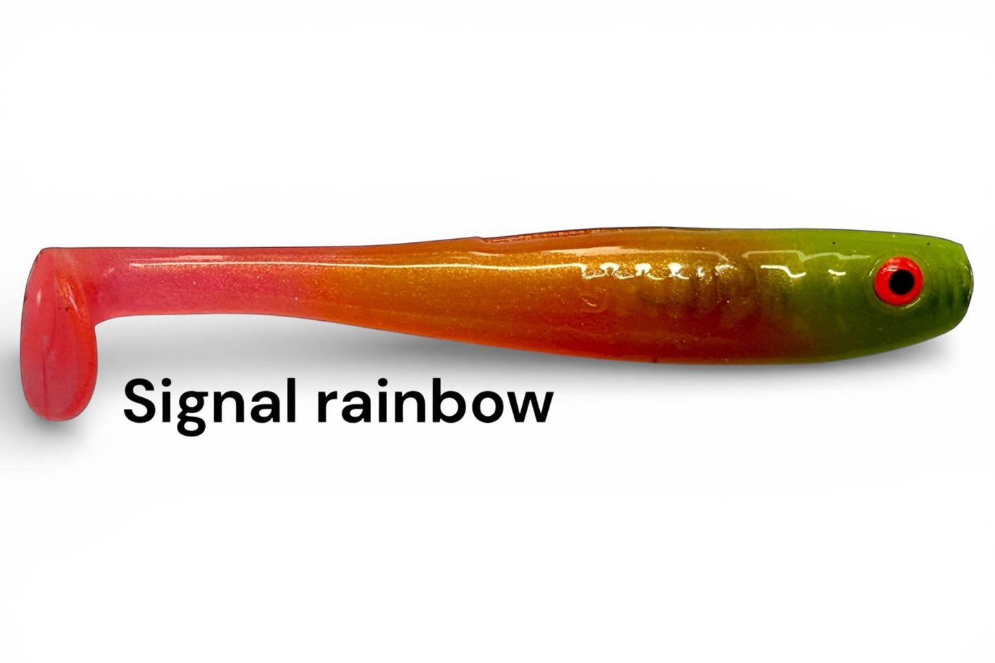 Shrady 10cm