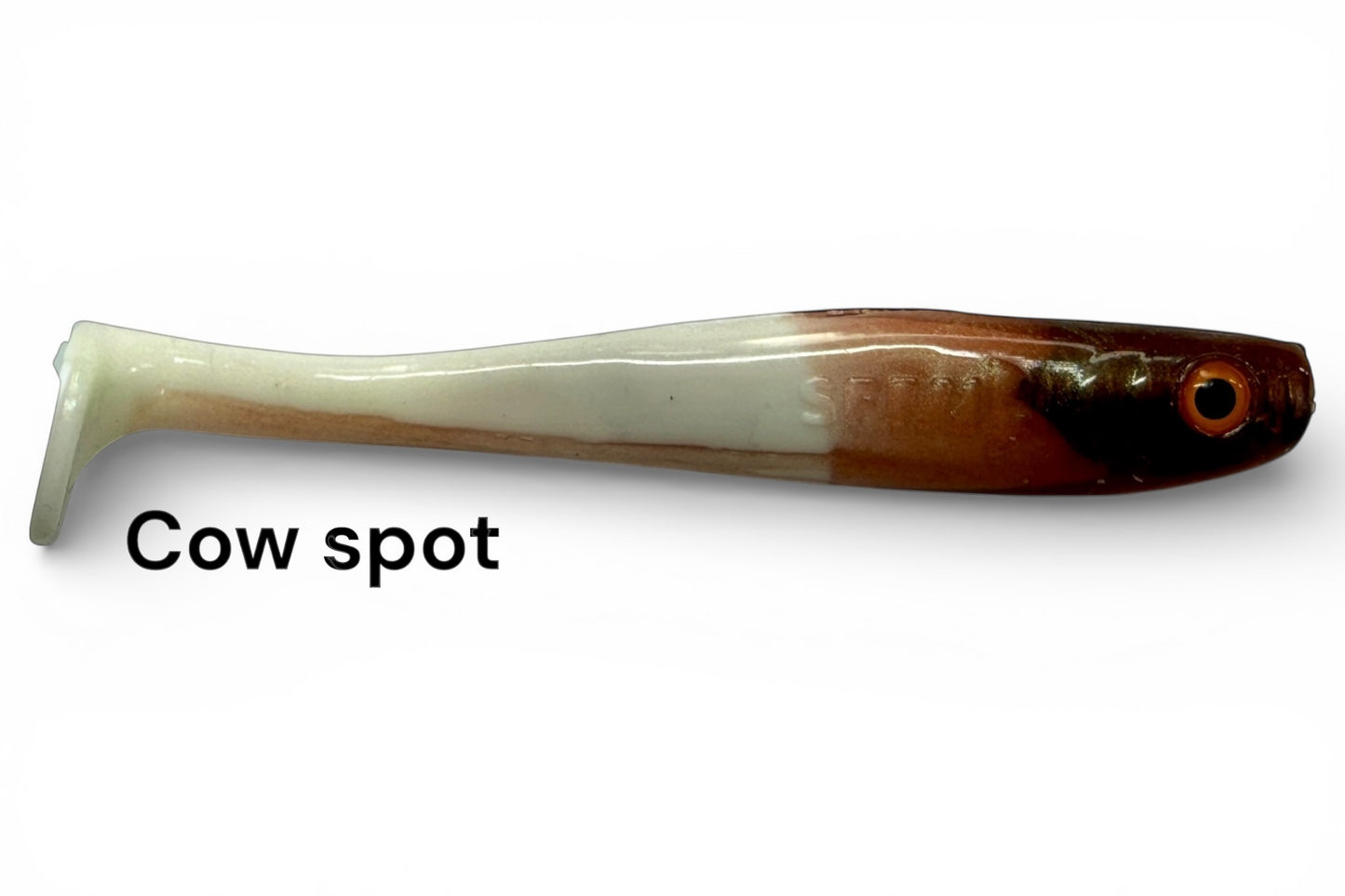 Shrady 10cm