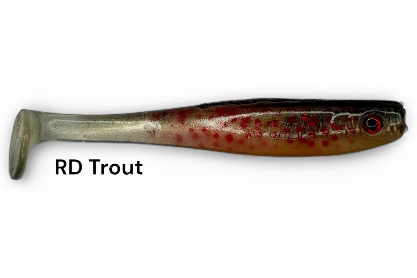 Shrady 10cm